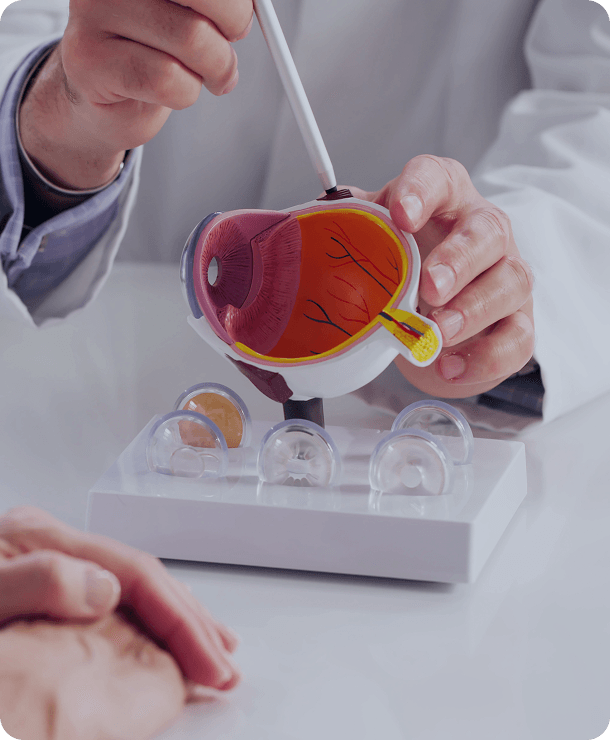 Eye health at the heart of our expertise